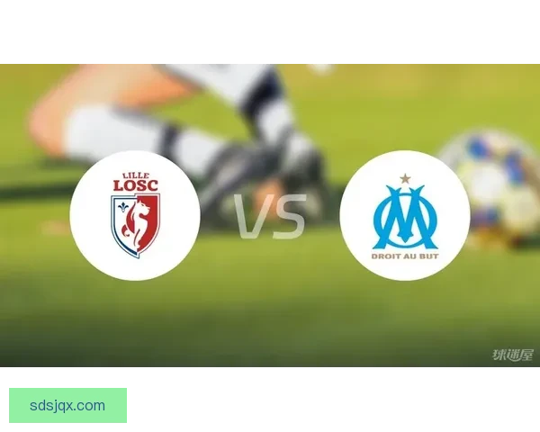 匈牙利vs冰岛球网焦点对决解析两队战术与胜负走势前瞻全面预测