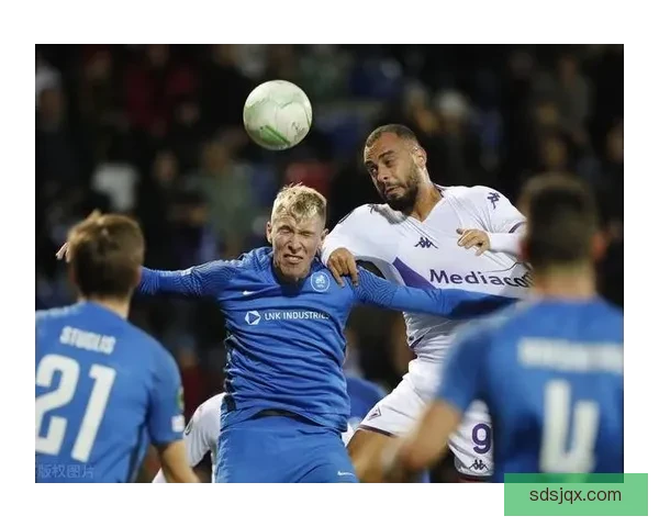 vs七连者全面解析战术对抗背后的团队协作与热血精神魅力与成长之路