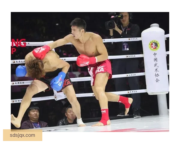 付高峰挑战一龙巅峰对决 看谁能笑到最后谁将主宰武林格斗之巅